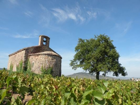 Vignoble du Beaujolais - Villefranche-sur-Saône